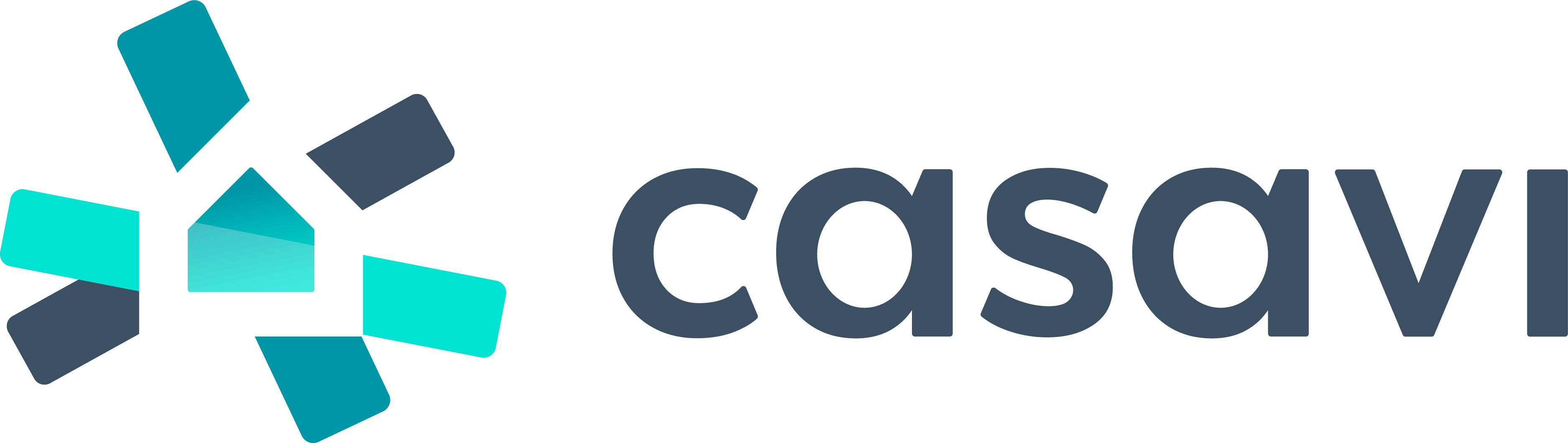 Casavi Logo