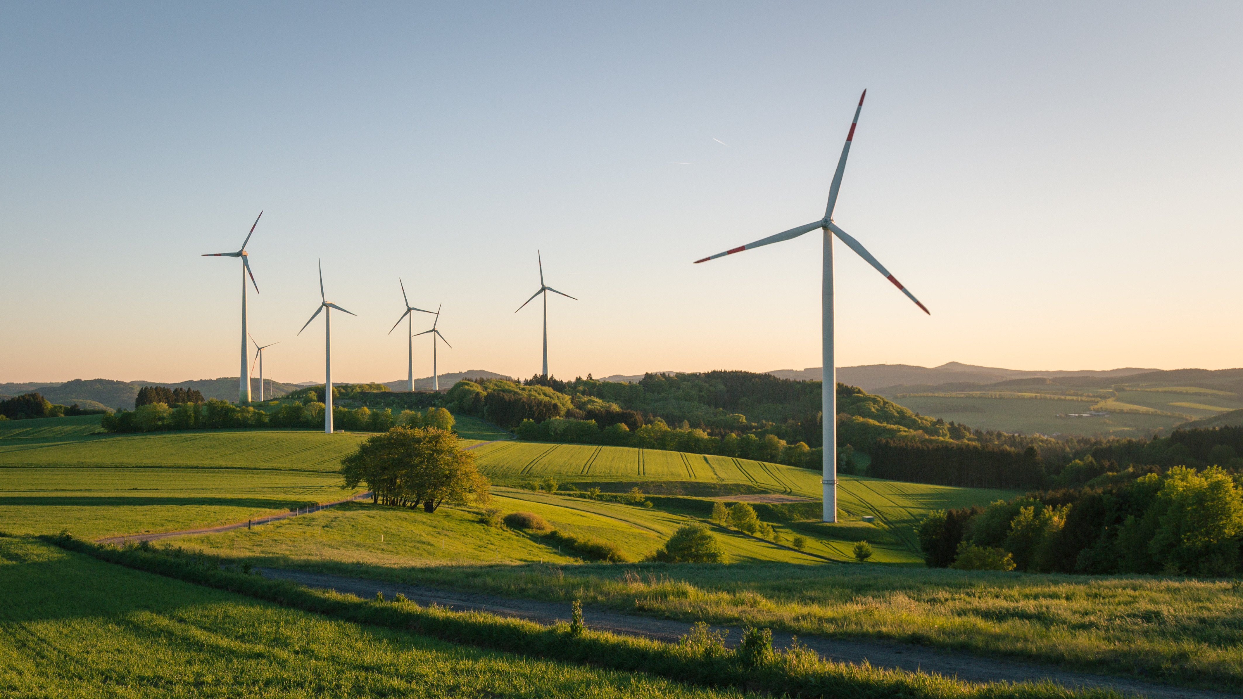 green landscape with windmills