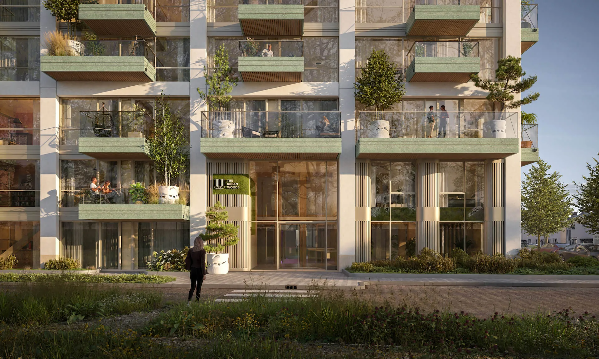 The urban woods