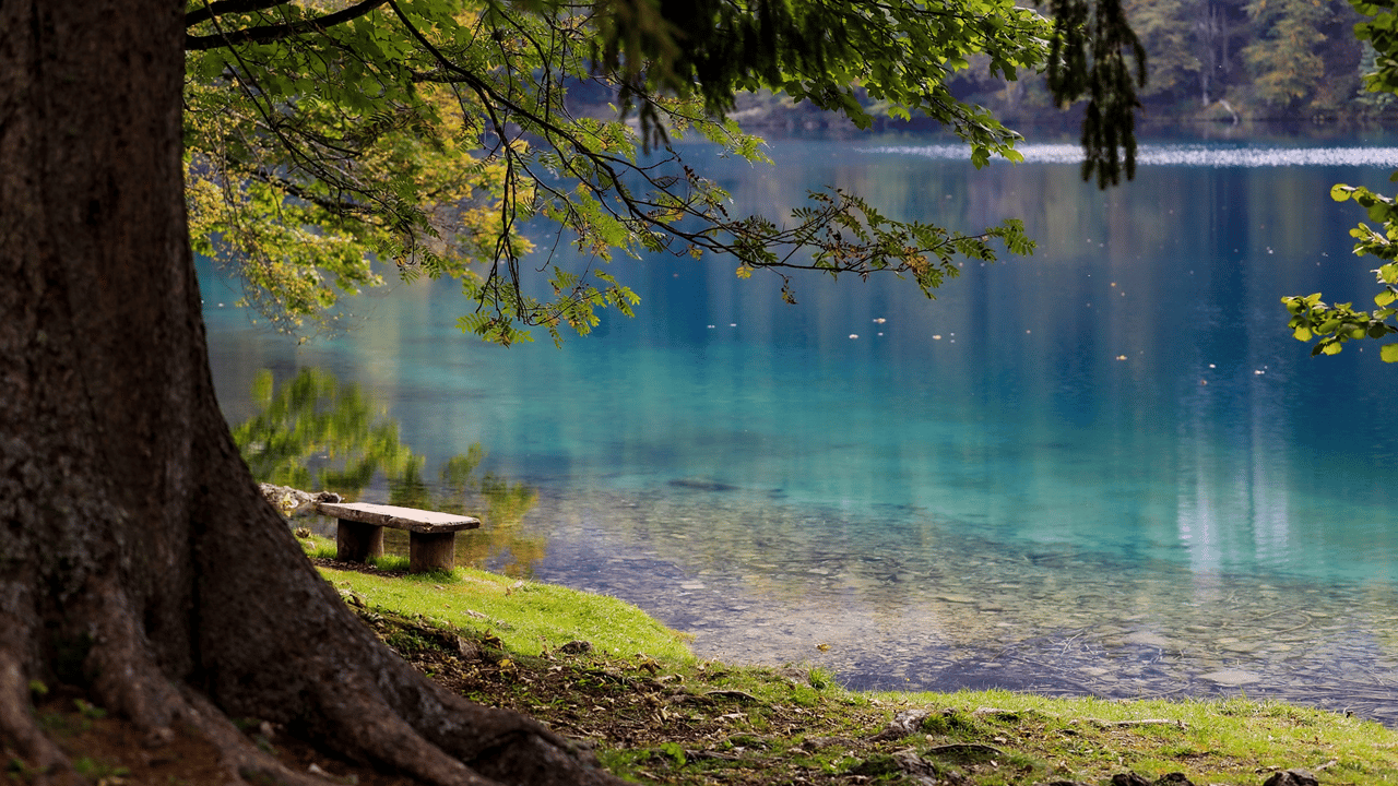 lake-inverted